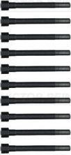Reinz 14-55096-01 - Sada skrutiek hlavy valcov