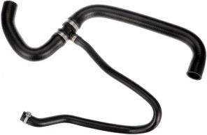 Gates 05-4981 -  -