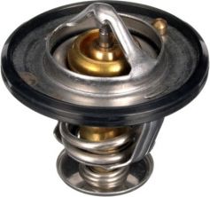 Gates TH56189G1 - Termostat -