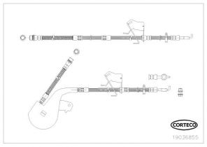 Corteco 19036855 - Brzdová hadica