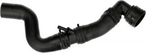 Gates 05-4636 -  -