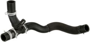 Gates 05-4875 -  -