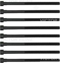 Reinz 14-12261-01 - Sada skrutiek hlavy valcov