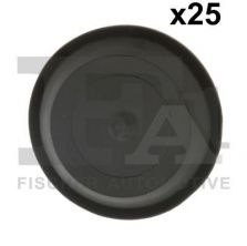 FA1 11-10024.25 -  -