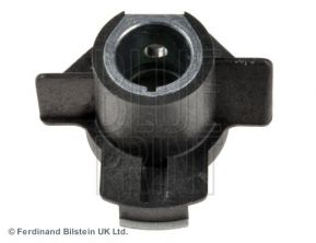 Blue Print ADN114313 -  -