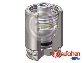 Autofren Seinsa D025251K -  -