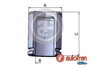 Autofren Seinsa D025279 -  -