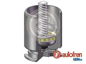 Autofren Seinsa D02554LK -  -