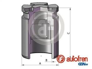 Autofren Seinsa D025698 -  -