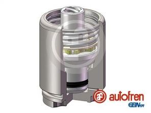 Autofren Seinsa D025729K -  -