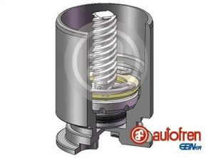 Autofren Seinsa D025777RK -  -