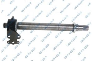 GSP 202857 -  -