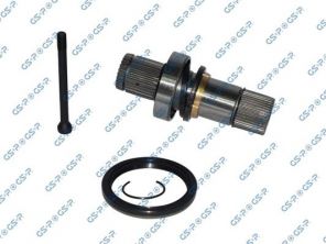 GSP 261191 -  -