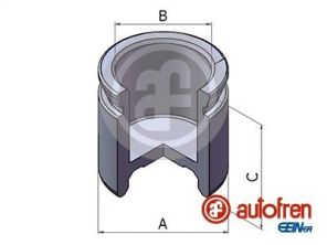 Autofren Seinsa D025450 -  -