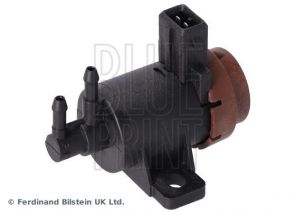 Blue Print ADN17239 -  -