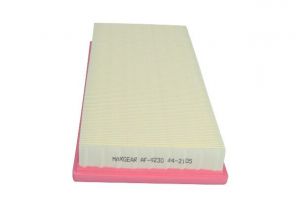 Maxgear 26-2456 - Vzduchový filter -