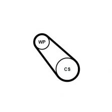 Contitech 3PK725 ELAST WP1 -  -