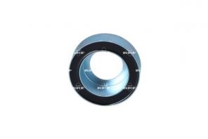 NRF 38565 -  -