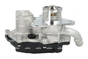 NRF 48743 - Ventil AGR/EGR -