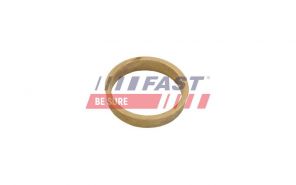 Fast FT14401 -  -