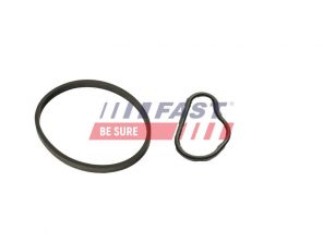 Fast FT48943 -  -