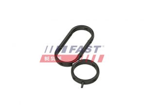 Fast FT48944 -  -