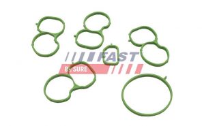 Fast FT49455 -  -