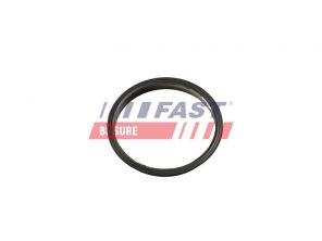 Fast FT49853 -  -