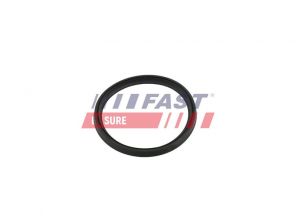 Fast FT49854 -  -