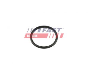 Fast FT49857 -  -