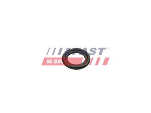 Fast FT49860 -  -