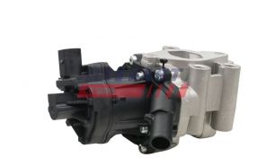 Fast FT60202 - Ventil AGR/EGR -