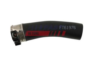 Fast FT61976 -  -