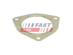 Fast FT84821 - Tesnenie -