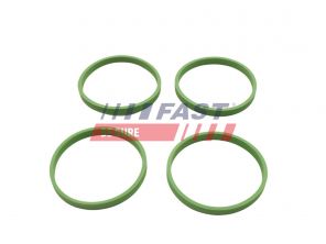 Fast FT49458 - Tesnenie sacieho potrubia