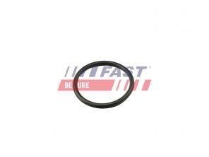 Fast FT49917 -  -