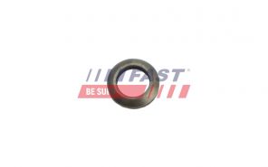 Fast FT53851 -  -