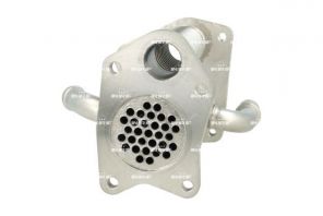 NRF 48430 -  -