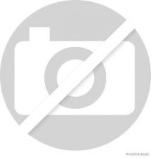 Jakoparts J1281066 - Sada skrutiek hlavy valcov -