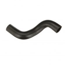 Gates 05-5572 -  -
