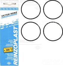 Reinz 15-76741-01 - Tesnenie pod veko ventilov -