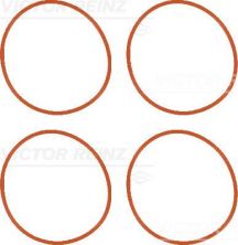 Reinz 11-36956-01 - Tesnenie sacieho potrubia