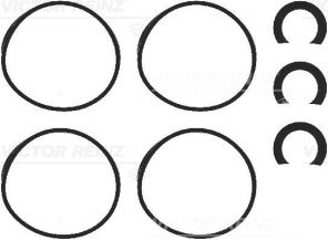 Reinz 11-39642-01 - Tesnenie sacieho potrubia