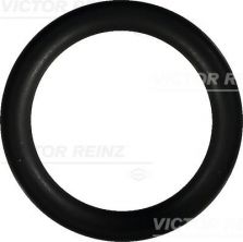 Reinz 40-76246-00 - Tesnenie sacieho potrubia
