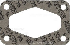 Reinz 71-20251-20 - Tesnenie sacieho potrubia