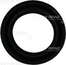 Reinz 71-25876-00 - Tesnenie sacieho potrubia