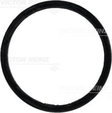 Reinz 71-31647-00 - Tesnenie sacieho potrubia