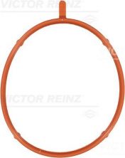 Reinz 71-33176-00 - Tesnenie sacieho potrubia