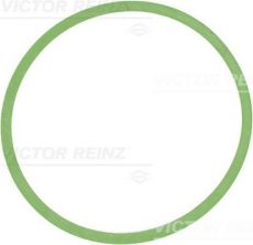 Reinz 71-34449-00 - Tesnenie sacieho potrubia