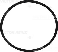 Reinz 71-34473-00 - Tesnenie sacieho potrubia